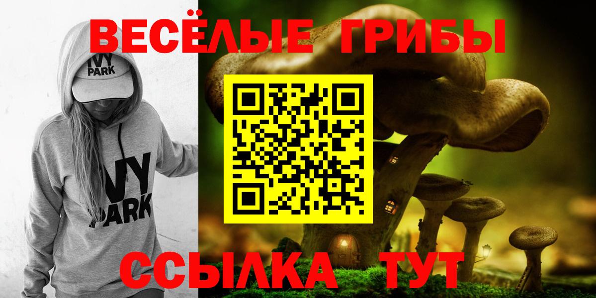 Псилоцибиновые грибы GOLDEN TEACHER Новороссийск