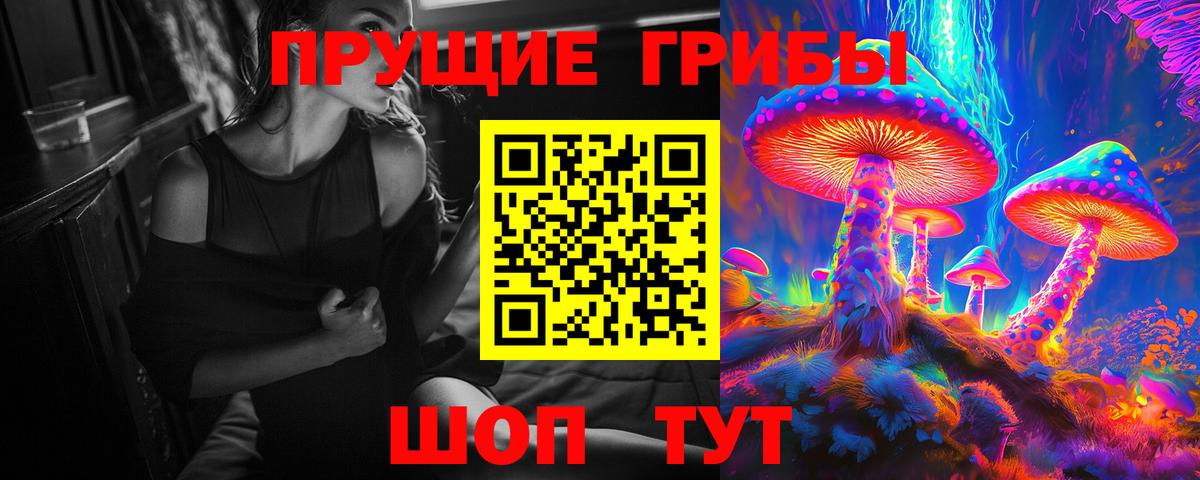Новороссийск  Псилоцибиновые грибы MAGIC MUSHROOMS  Вход с VPN 